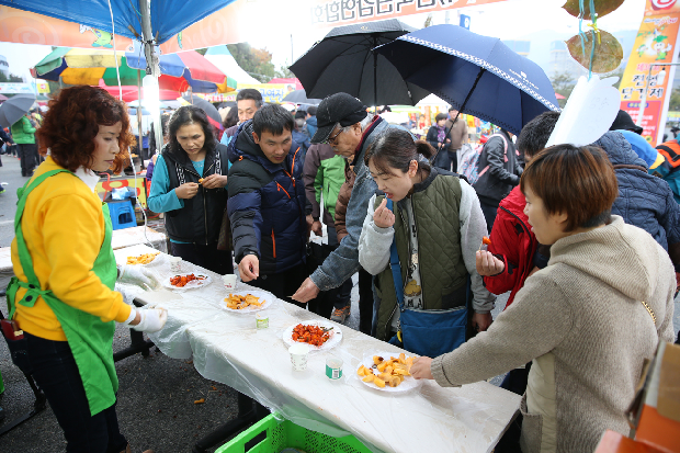 김해의 가을 축제, 성황리에 막을 내리다3