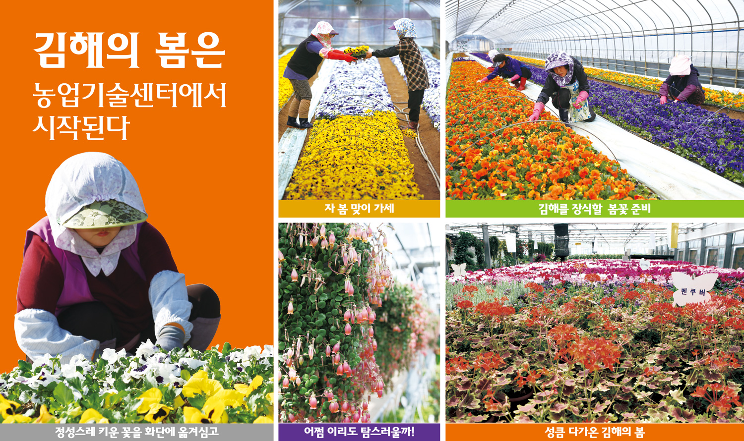 김해의 봄은 농업기술센터에서 시작된다1