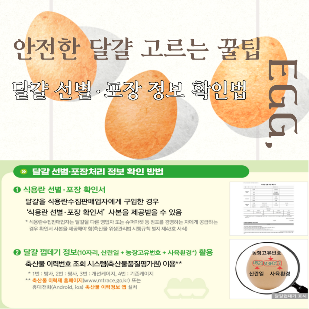 달걀 선별포장처리 정보 확인법
