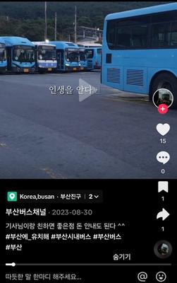 부산 시내버스 버스기사들과 버스 동호회 회원들 간 친분이 친하다는 이유로 차비를 안받고 다니는 관련 이야기