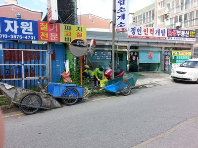 주민자치위원 및 통장단 추석맞이 환경정화 활동