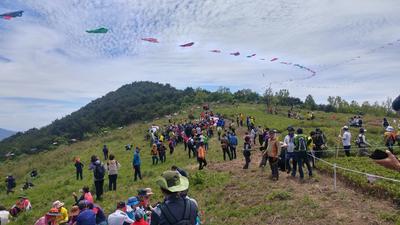 제15회 신어산 철쭉축제(신어산 정상)