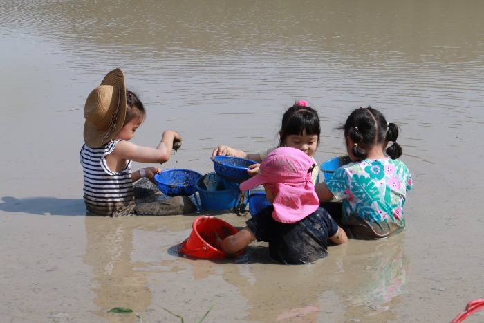 봉하마을 생태문화공원 미꾸라지잡기 체험