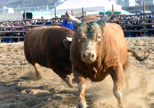 관광도시 김해, 가야테마파크로 물들다!!!4