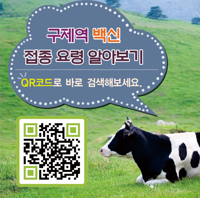 구제역ㆍAI 방역 대책 추진 '총력'2