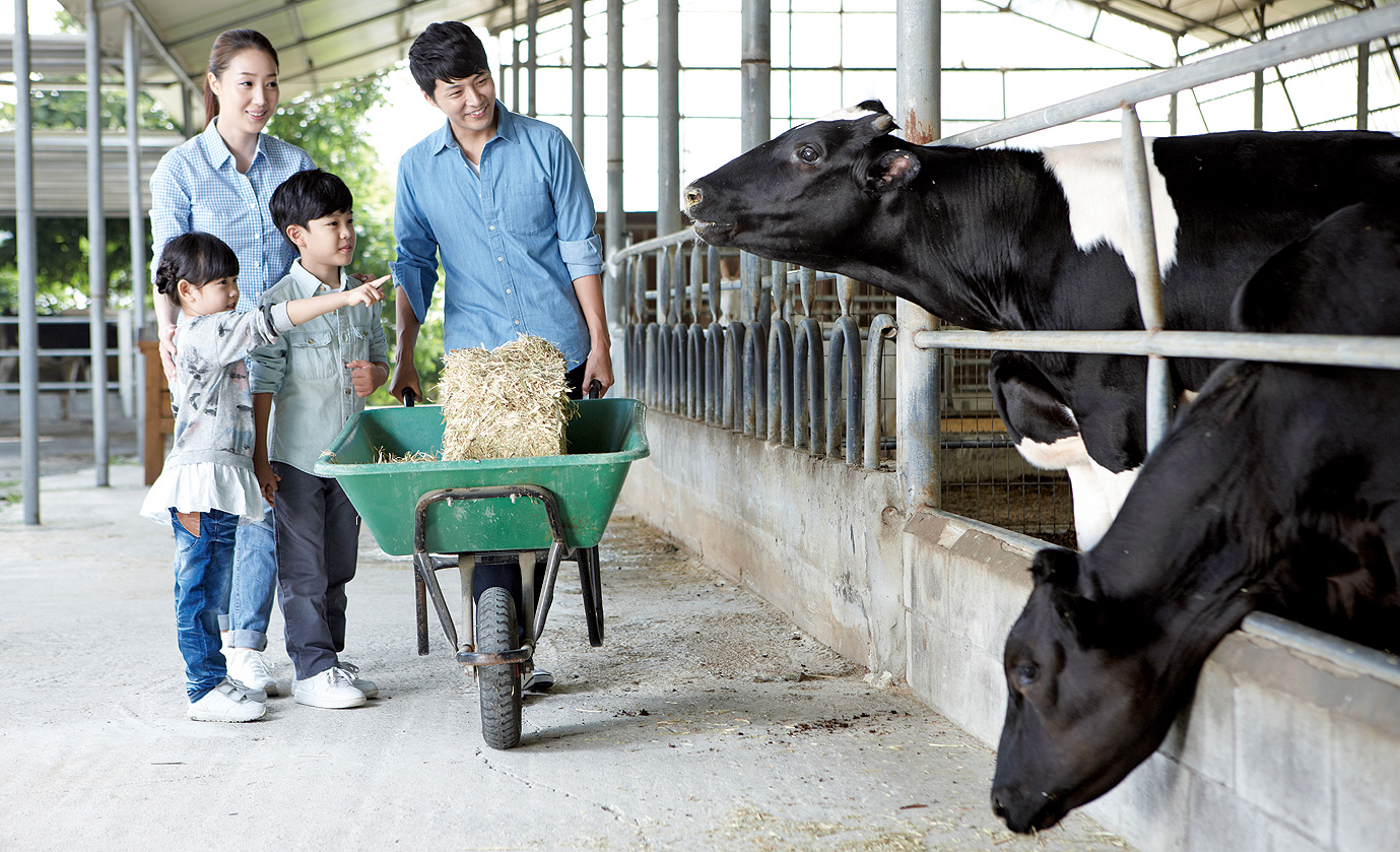 바람 타고 오는 '악취' 없앤다1