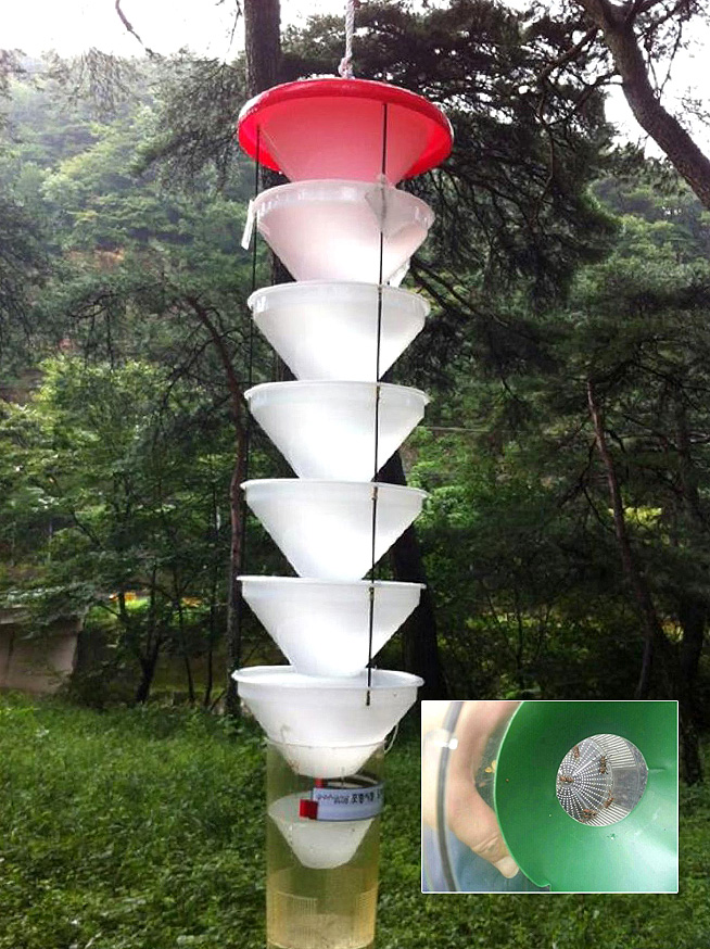 페로몬으로 소나무재선충병 방제1