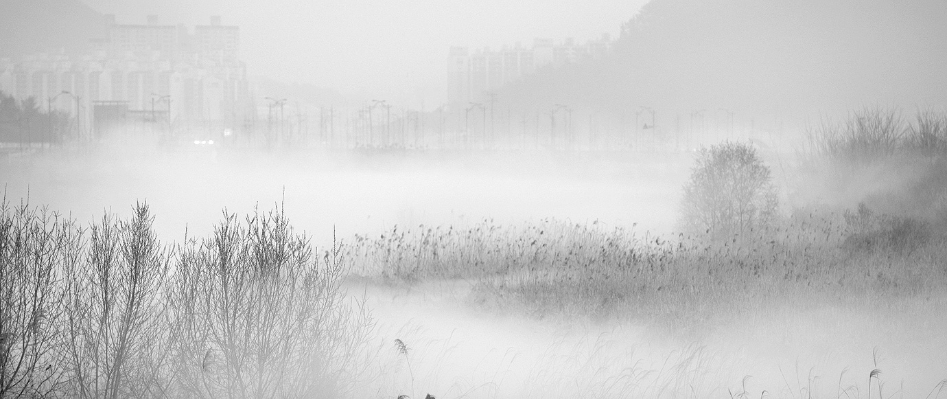 김해의 자연을 작품으로1
