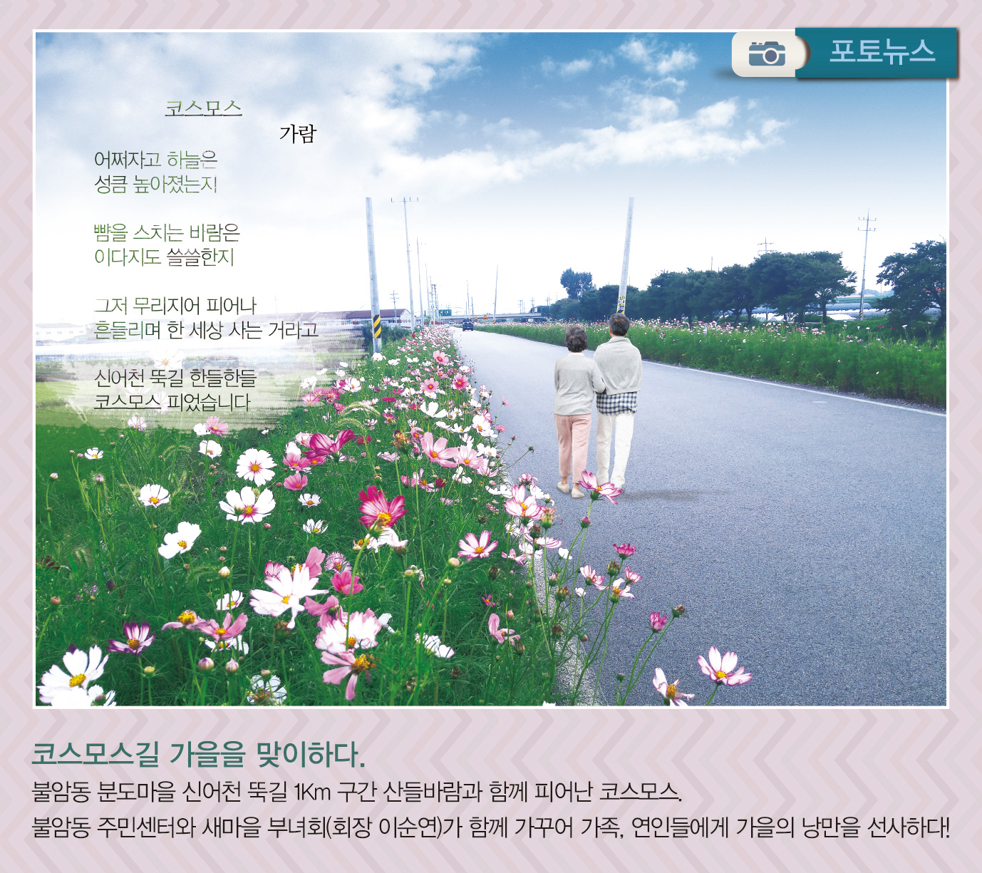 불암동 코스모스길1