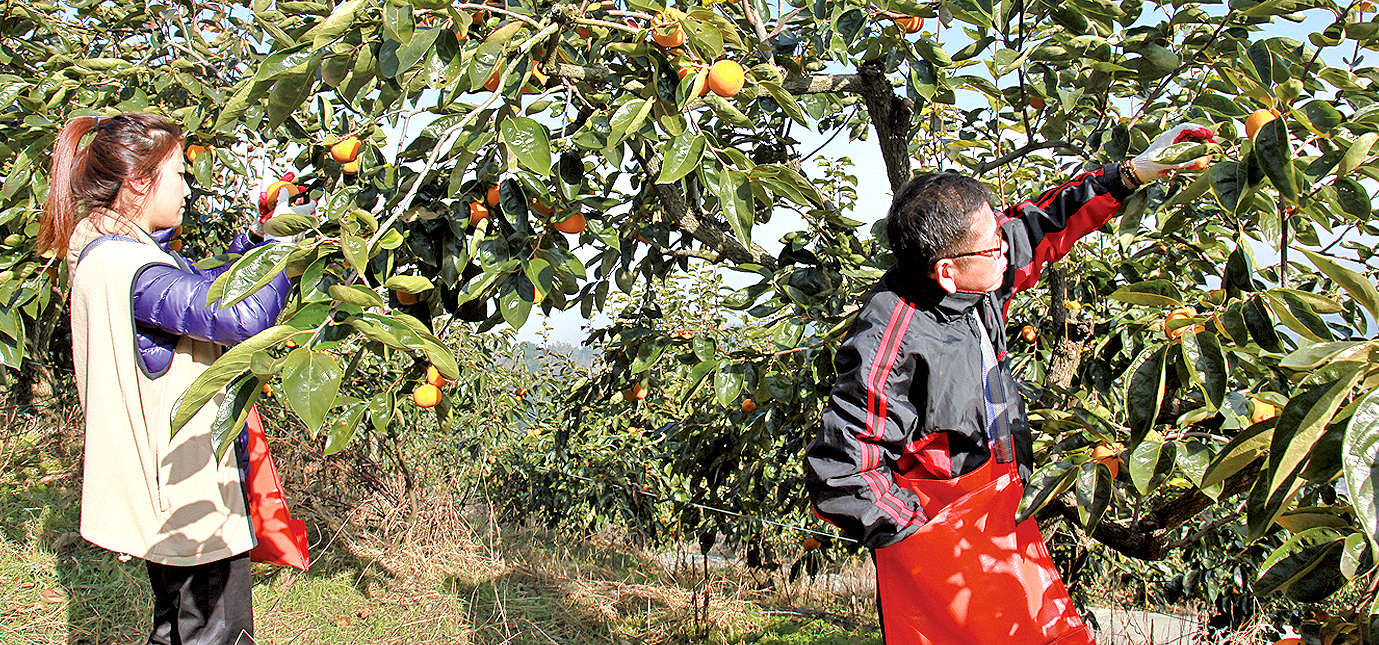 김해시, 농촌 일손돕기 지원 나서1