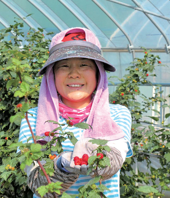 산딸기가 벌써 나왔어?!1