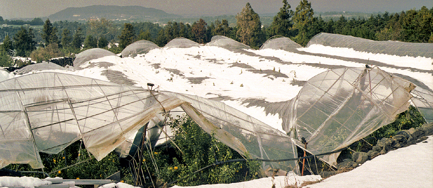 농작물 재해보험 가입하세요1