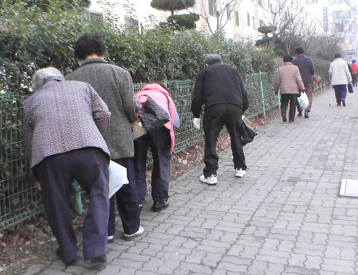 시청 옥상, 작은 화포천 된다1