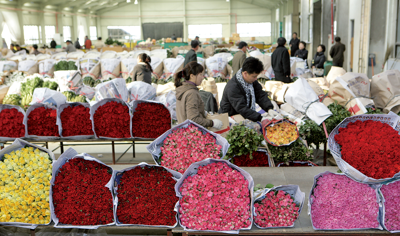 원예산업 적극 지원한다1