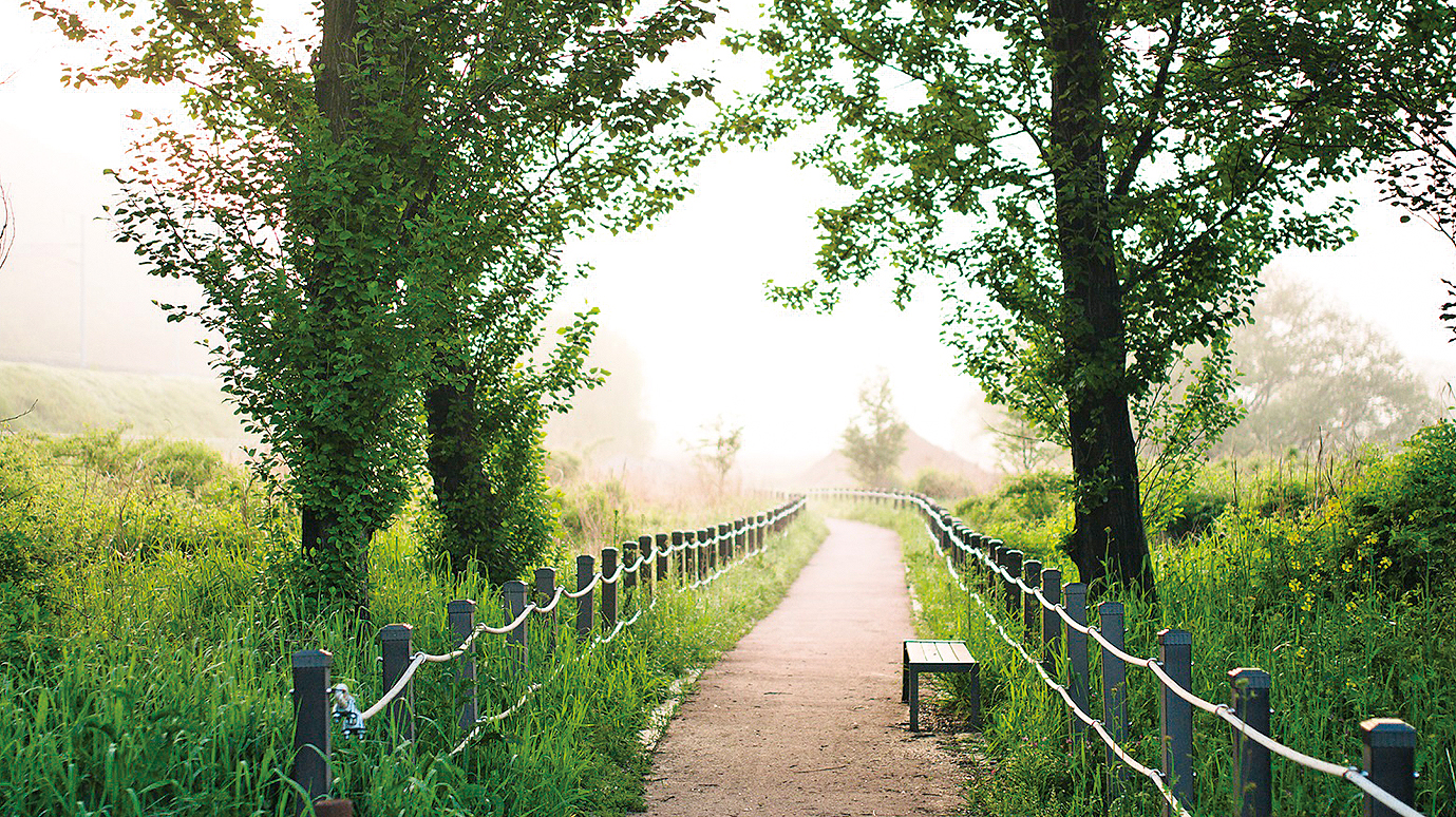 김해시, 화포천 '습지보호지역' 추진1