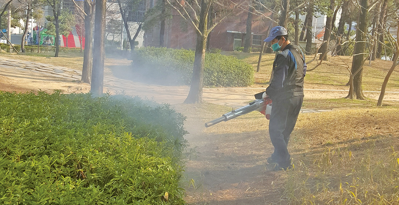 '흰줄숲모기' 친환경 방역으로 퇴치1