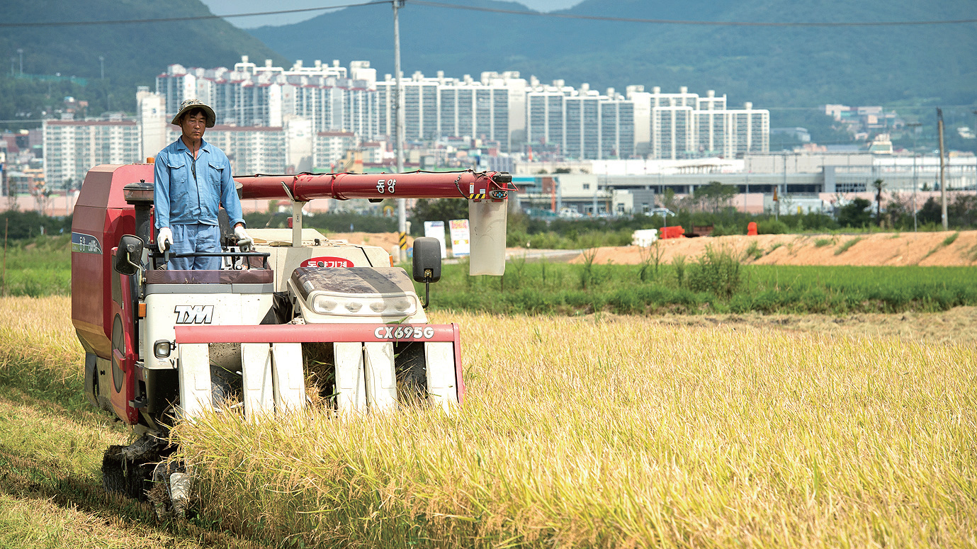 벌써 타작이라고?1