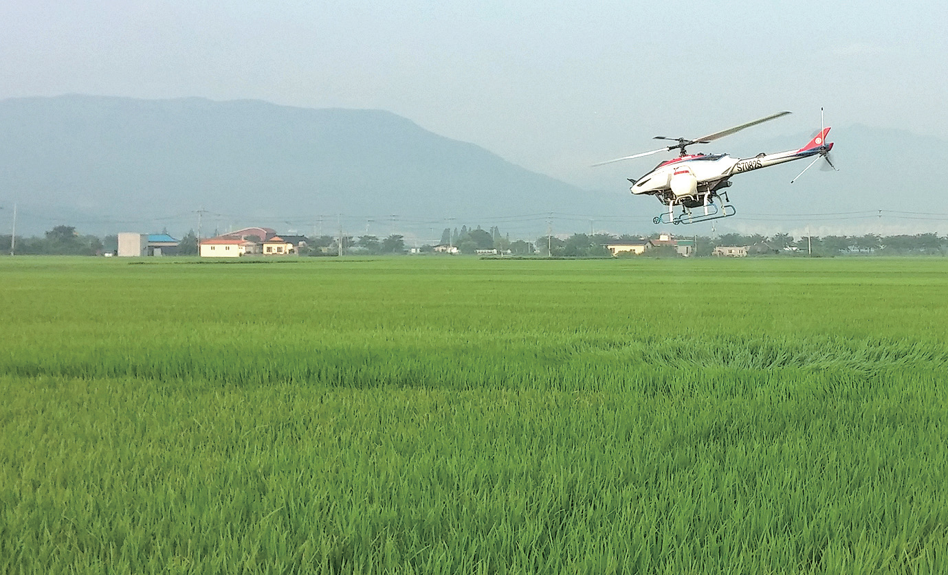 벼 병해충 공동 방제1