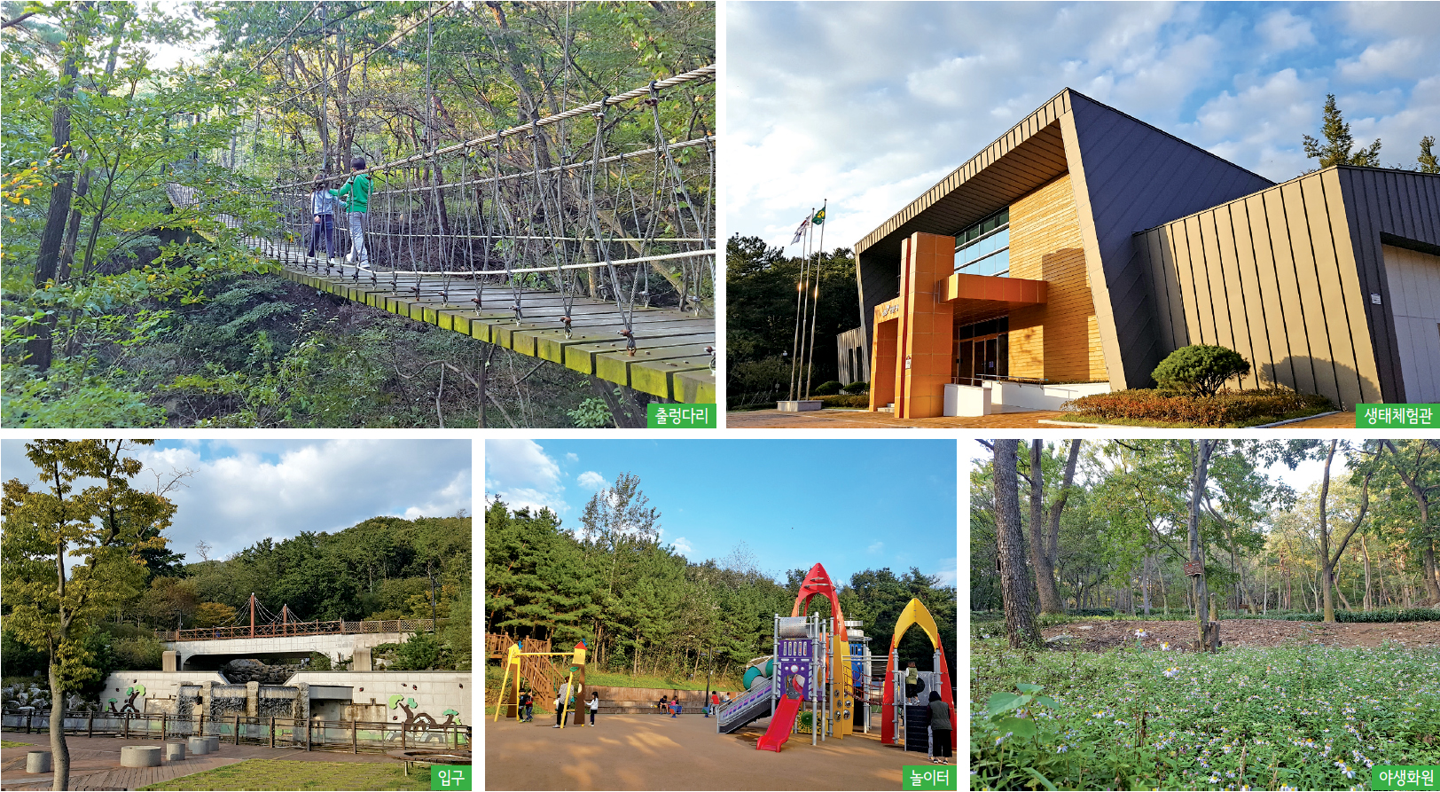 '분성산 생태숲', 놀거리와 즐길거리가 넘쳐나요1