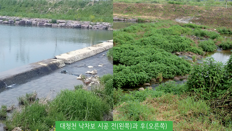 물순환 생태복원 기술 '인정'1