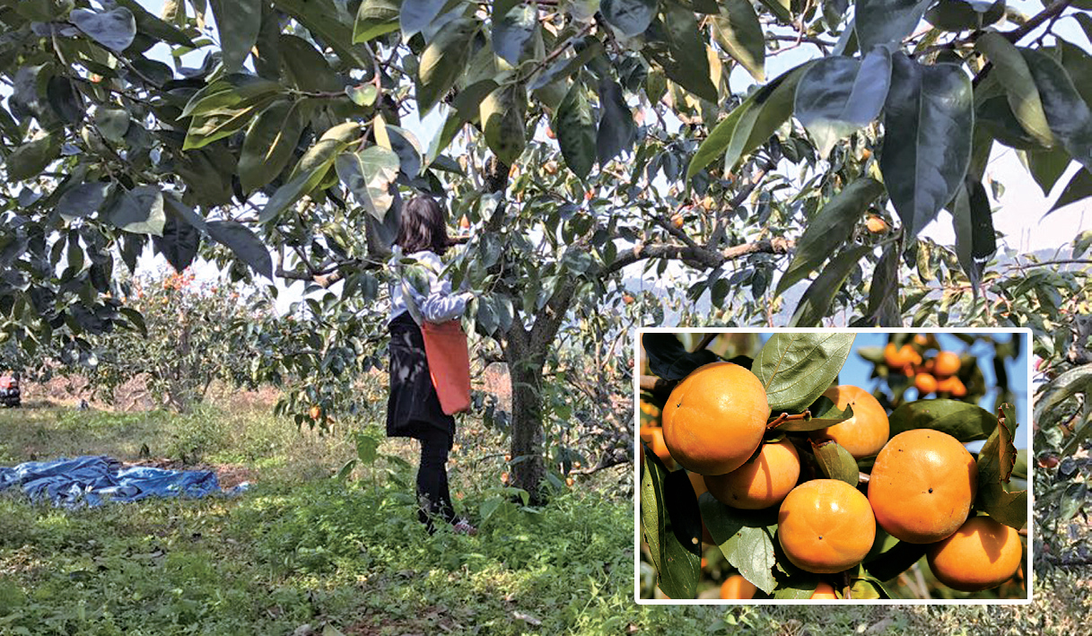 일손도 덜고, 행복도 나누고1