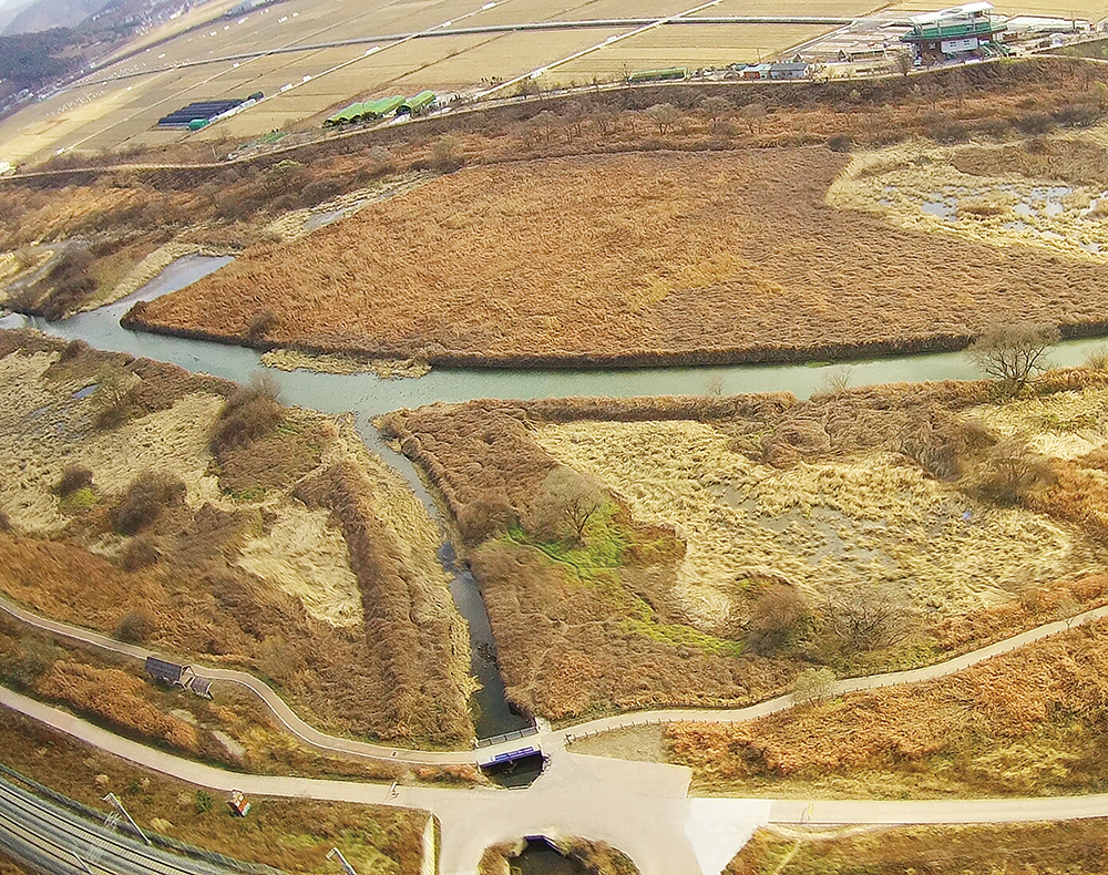 삼일절 특집 김해의 인물1