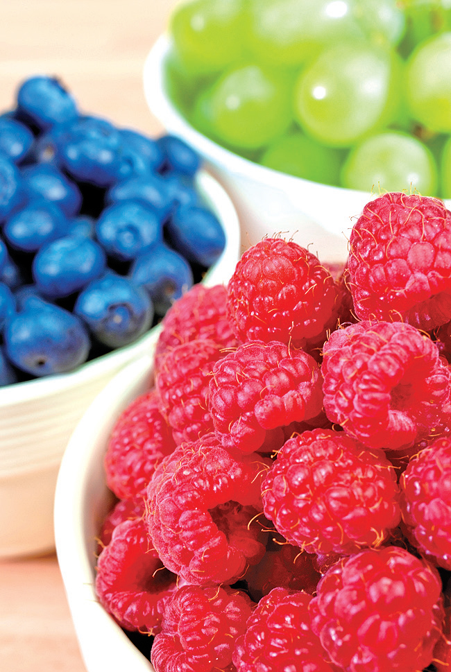 하우스 산딸기가 나왔어요1