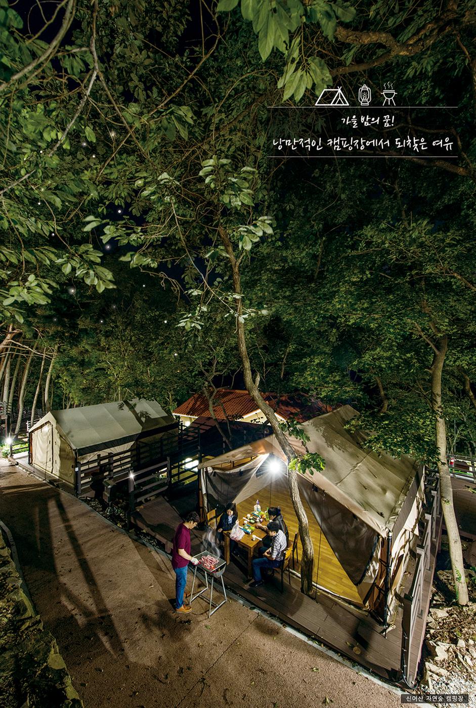 가을밤의 꿈 낭만적인 캠핑장에서 되찾은 여유1