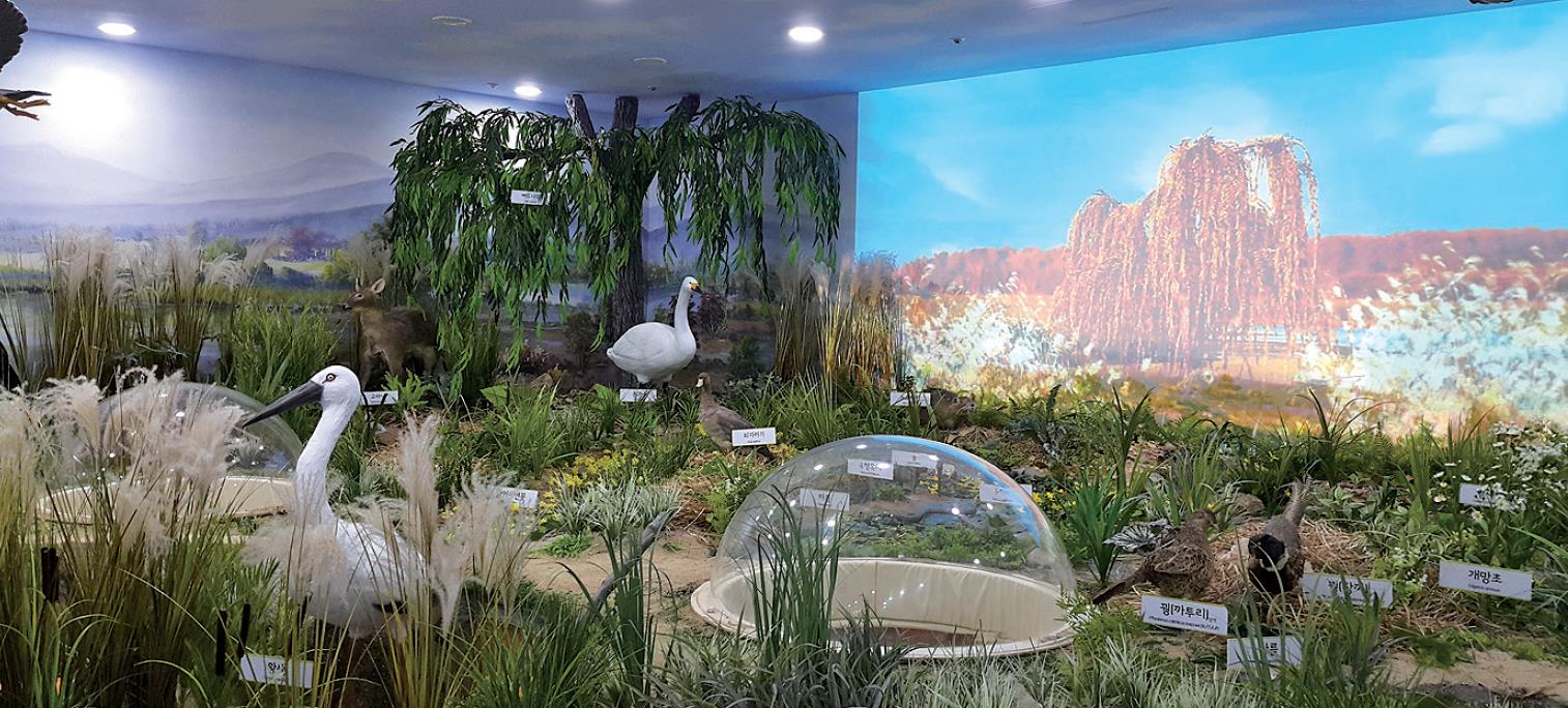 화포천습지 생태학습관 새 단장1