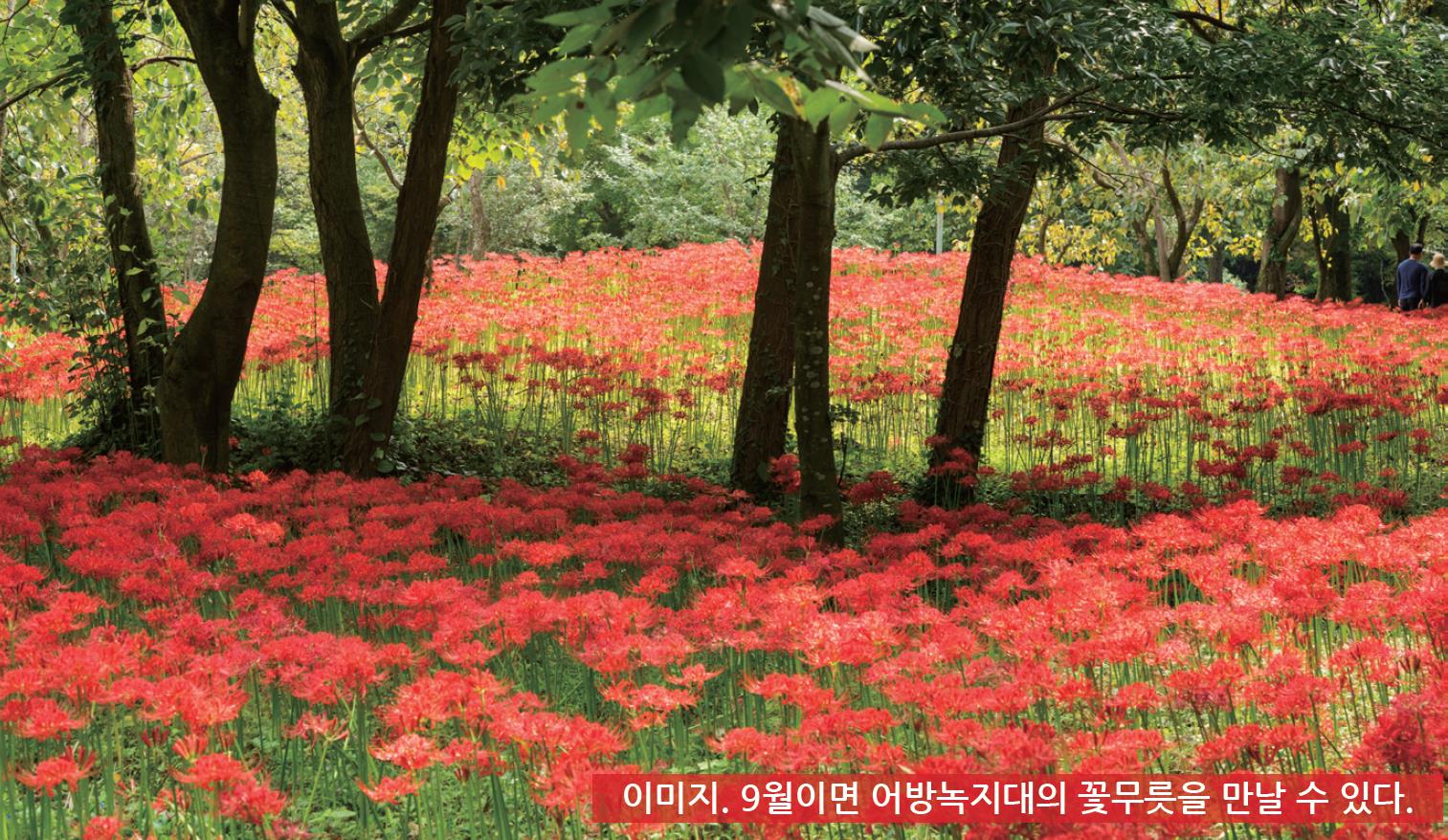 어방녹지대 새단장1