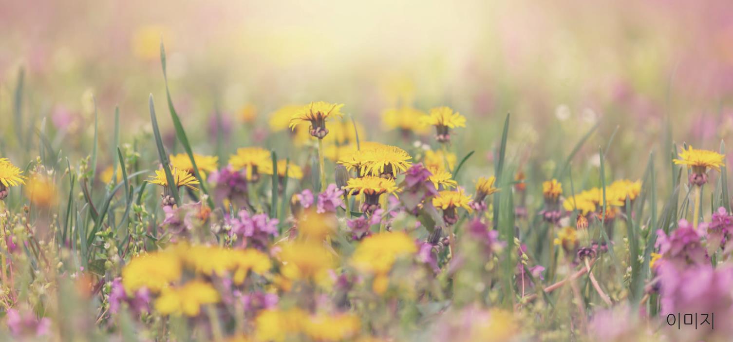 분성산에 '야생화 생태숲' 조성1