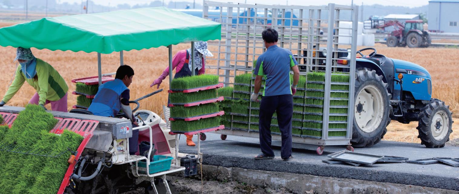 농번기 일손 걱정 이제 그만1