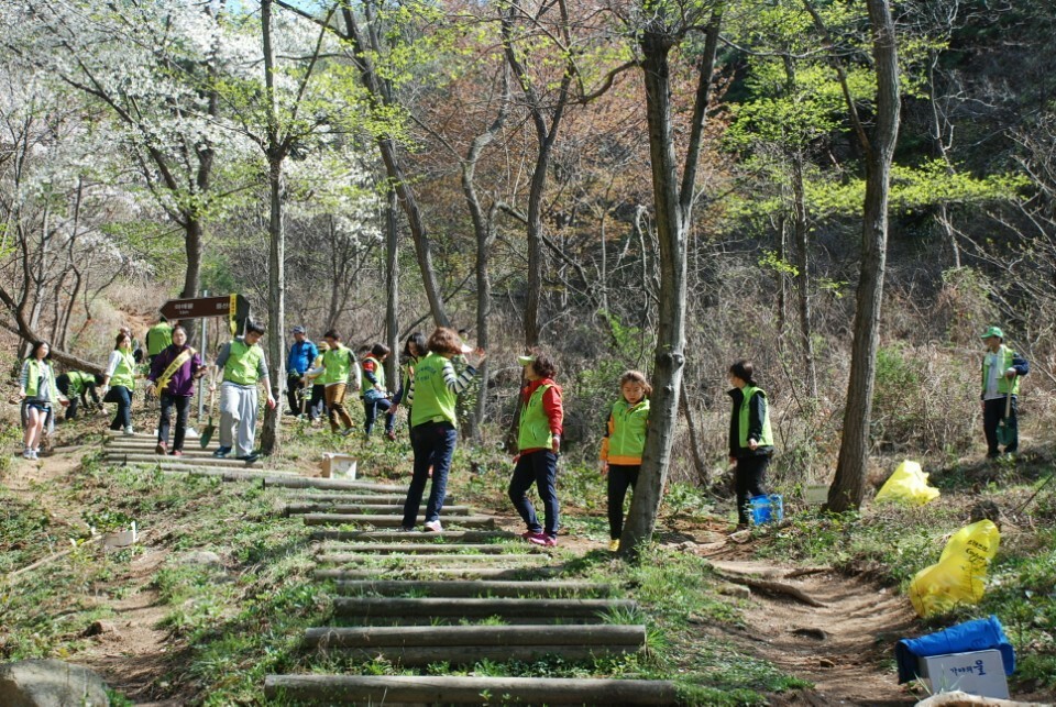 장군차, 심고 맛 보고 즐기고1