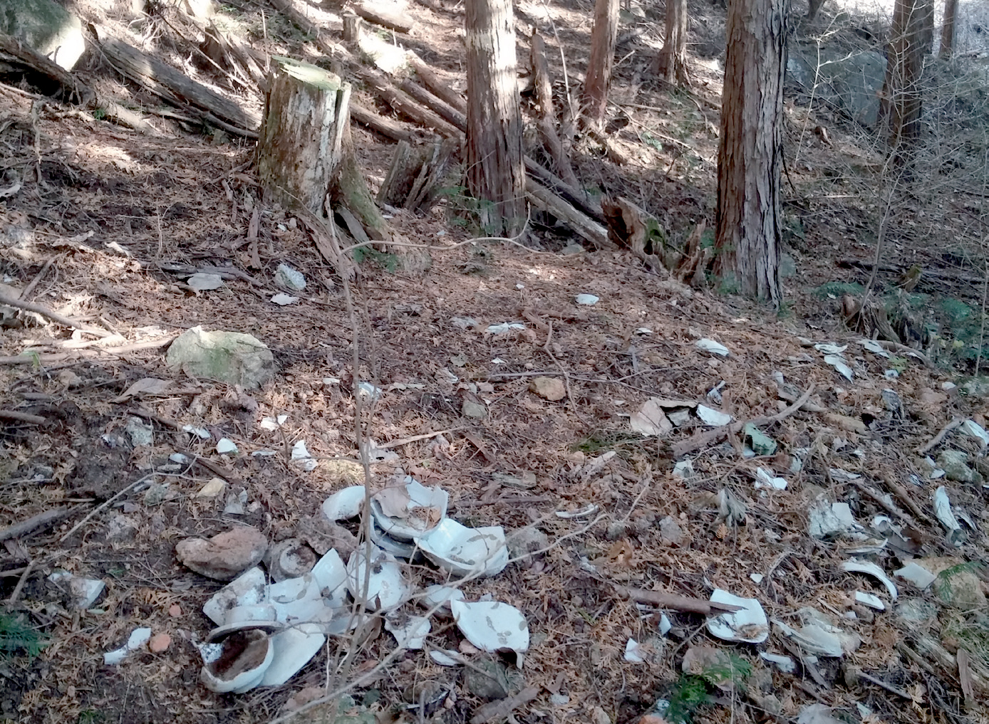 상동 백자 가마터 긴급 발굴1