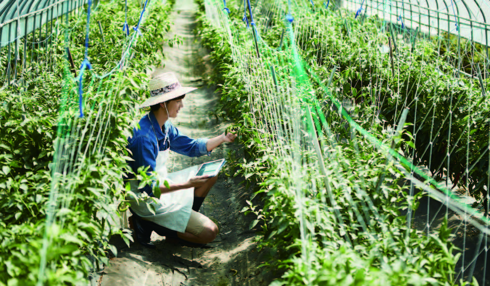청년 농민 영농 정착 지원