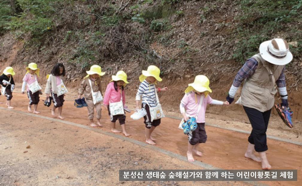 숲에서 일자리를 찾다0