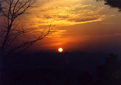 김해시민 여러분 새해 복 많이 받으십시오1