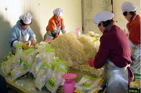 친환경 기능성 콩나물 기술 개발1