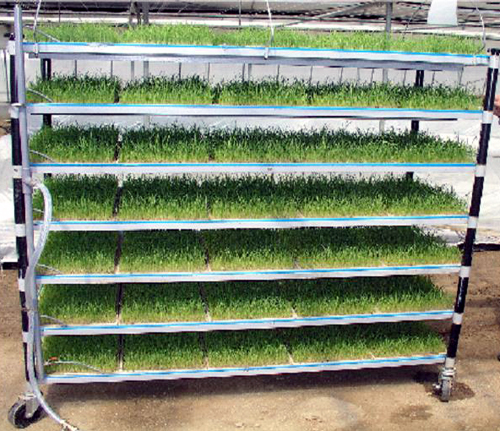 간편한 벼 육묘기 보급한다1