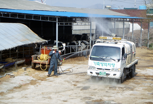 구제역 등 전염병 발생방지 총력1