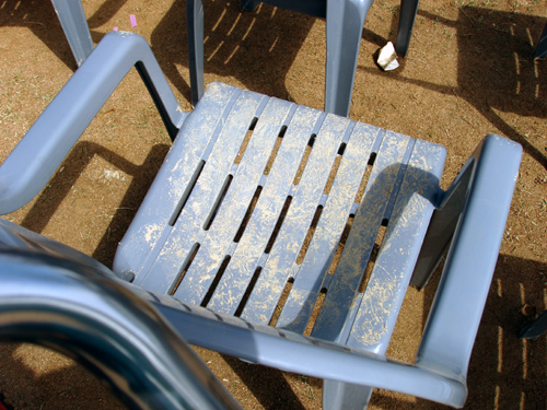 부끄러운 우리들의 자화상1