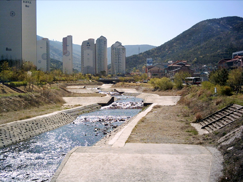 다슬기의 놀이터 대청천1