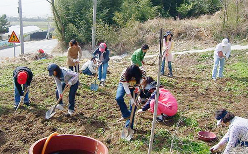 자원봉사 마일리지증으로 각종 혜택을…1