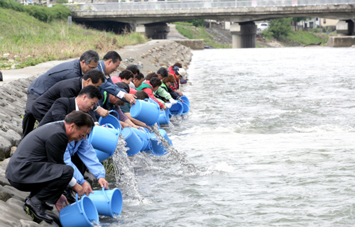 은어가 노니는 대청천 만든다1
