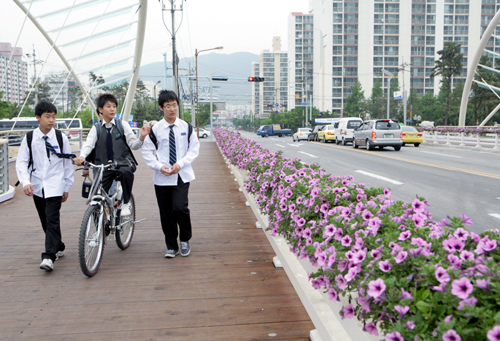 사계절 아름다운 꽃거리 만든다1