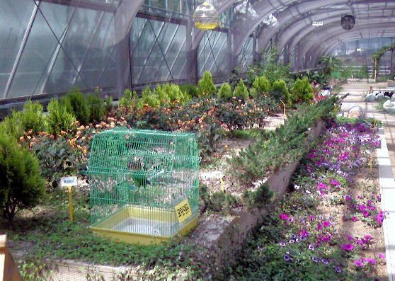 도심속에서 만나는 나비1