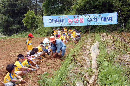 할아버지와 감자 캐고 사랑도 심어요1