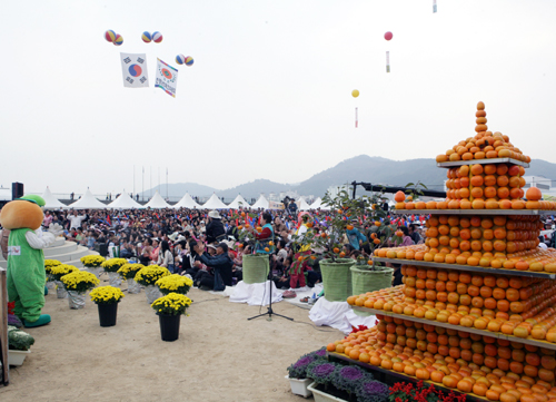 제22회 진영단감제 이모저모1