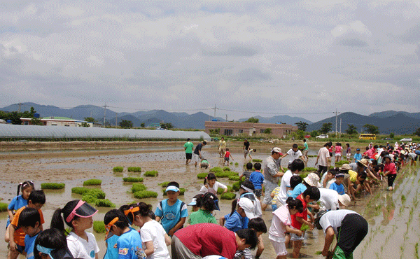 시민과 함께한 모내기 축제1