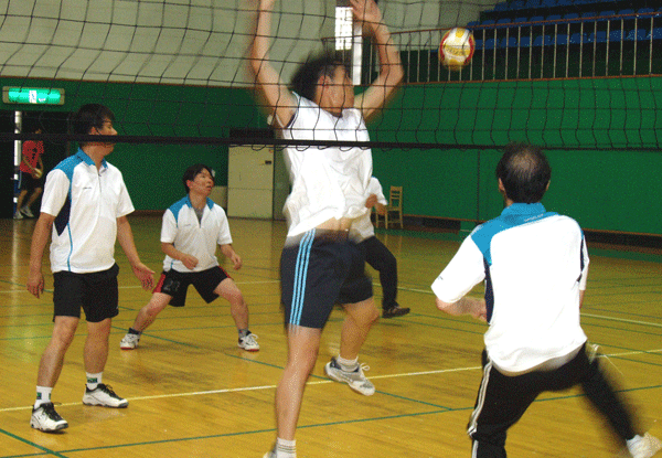 김해시 배구협회장기 대회1